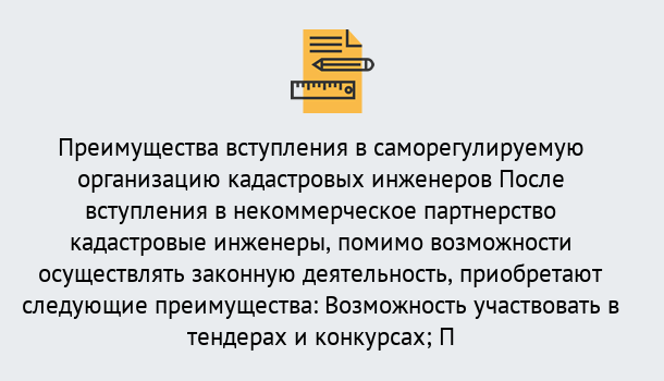 Почему нужно обратиться к нам? Полевской Что дает допуск СРО кадастровых инженеров?