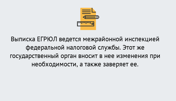 Почему нужно обратиться к нам? Полевской Выписка ЕГРЮЛ в Полевской ?