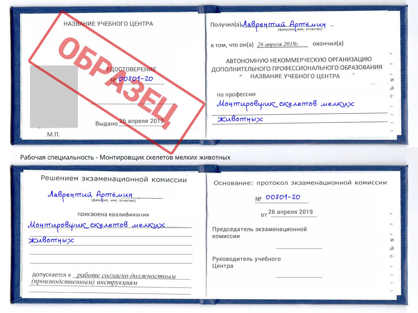 Монтировщик скелетов мелких животных Полевской